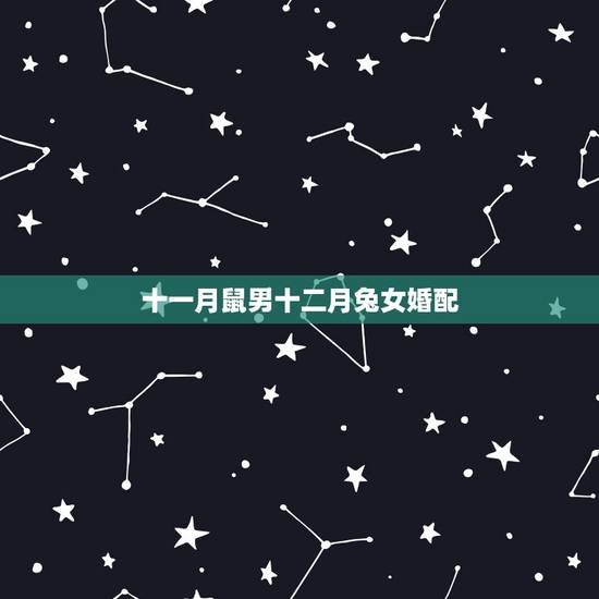 十一月鼠男十二月兔女婚配，农历11月鼠男和农历9月兔女合吗