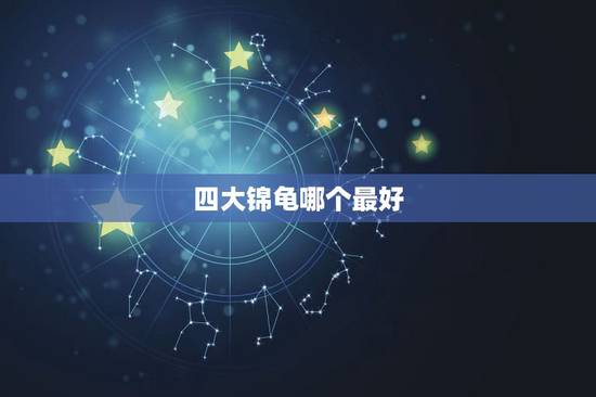 四大锦龟哪个最好,西部锦龟和东部锦龟到底哪个更高档? 四大锦龟哪个最好,西部锦龟和东部锦龟到底哪个更高档?