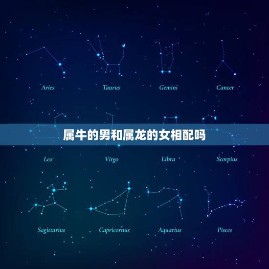 属牛的男和属龙的女相配吗，属牛和属龙相配吗？