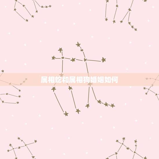 属相蛇和属相狗婚姻如何，属蛇和属狗的婚姻怎么样