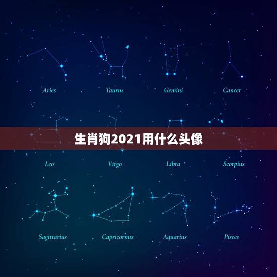 生肖狗2021用什么头像,微信头像用什么最好最吉利2021 生肖狗2021用什么头像,微信头像用什么最好最吉利2021