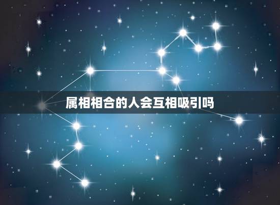 属相相合的人会互相吸引吗，属相合的人就一定适合结婚吗