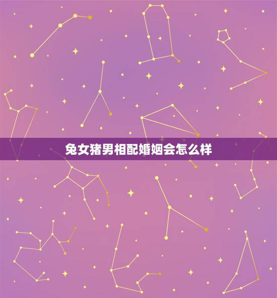 兔女猪男相配婚姻会怎么样,男猪女兔婚配合适吗 兔女猪男相配婚姻会怎么样,男猪女兔婚配合适吗