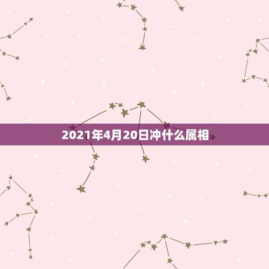 2021年4月20日冲什么属相,2021年4月20日的前488天是几年 2021年4月20日冲什么属相,2021年4月20日的前488天是几年