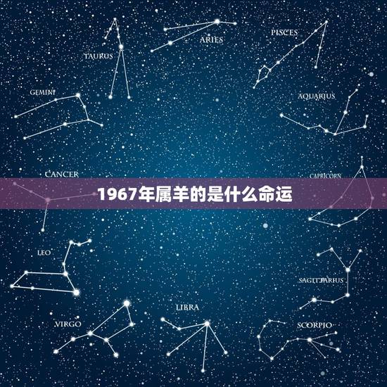 1967年属羊的是什么命运,1967年属羊的财运 1967年属羊的是什么命运,1967年属羊的财运