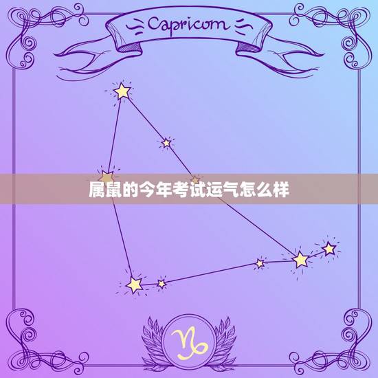 属鼠的今年考试运气怎么样，属鼠人2023年的学业