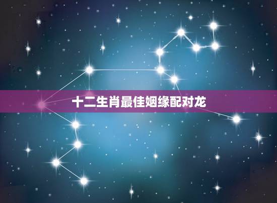 十二生肖最佳姻缘配对龙，龙虎相配的姻缘好吗