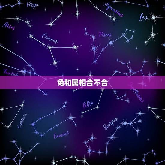 兔和属相合不合,天珠佩戴禁忌与属相 兔和属相合不合,天珠佩戴禁忌与属相