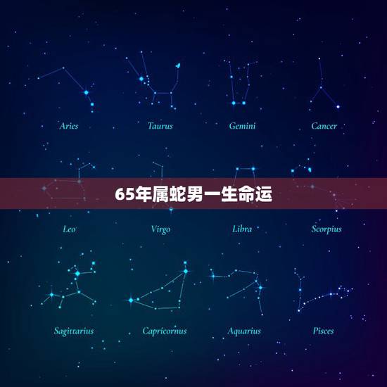 65年属蛇男一生命运,1965年属蛇人54后 65年属蛇男一生命运,1965年属蛇人54后