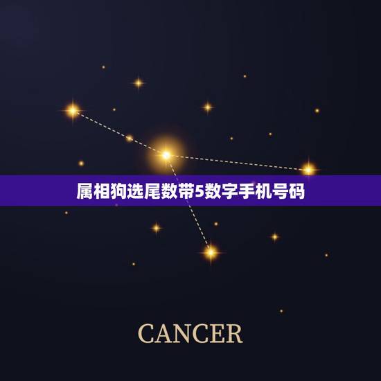属相狗选尾数带5数字手机号码,属狗的用什么手机号 属相狗选尾数带5数字手机号码,属狗的用什么手机号