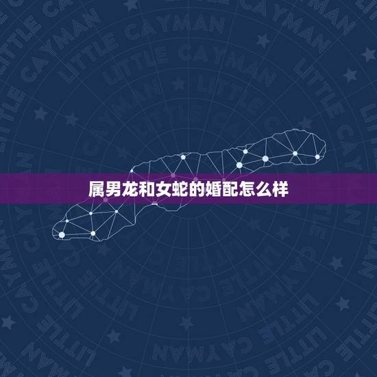 属男龙和女蛇的婚配怎么样,女属蛇男属龙的婚配如何 属男龙和女蛇的婚配怎么样,女属蛇男属龙的婚配如何