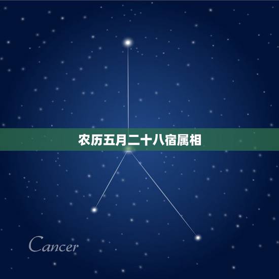 农历五月二十八宿属相，1911农历五月二十八出生的是啥命