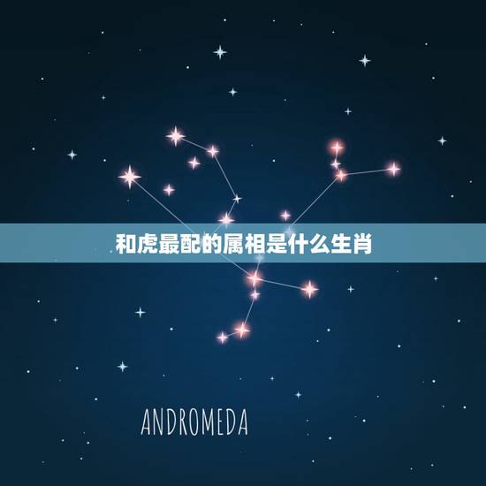 和虎最配的属相是什么生肖，虎与什么生肖最配 与什么相冲