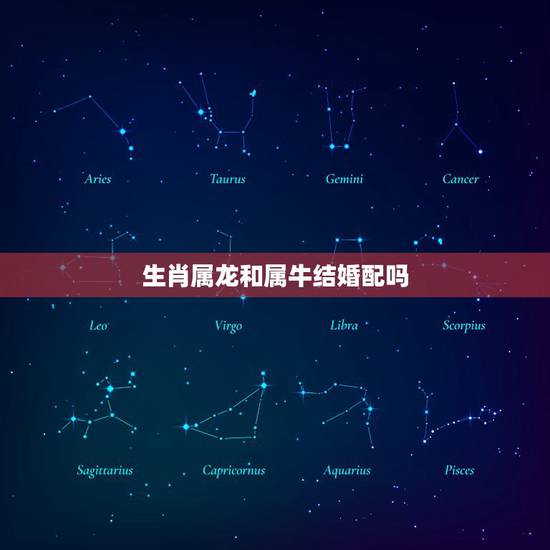 生肖属龙和属牛结婚配吗，属龙和属牛合不合