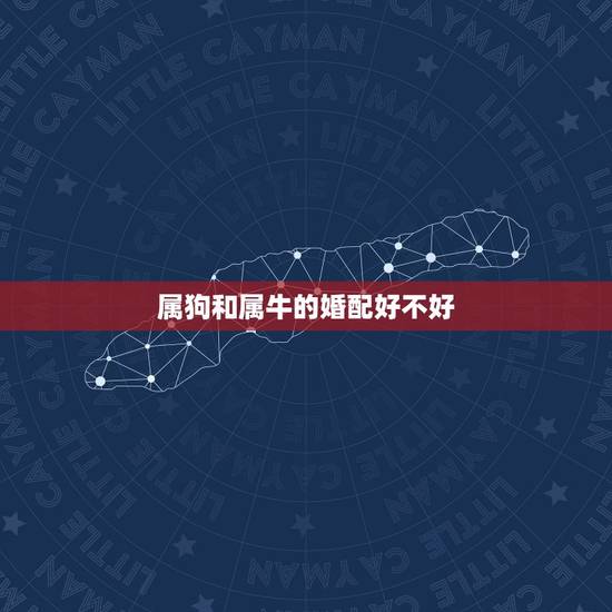 属狗和属牛的婚配好不好,属狗配什么属相最好 属狗和属牛的婚配好不好,属狗配什么属相最好