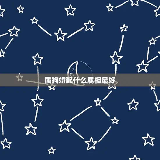 属狗婚配什么属相最好 属狗婚配什么属相最好