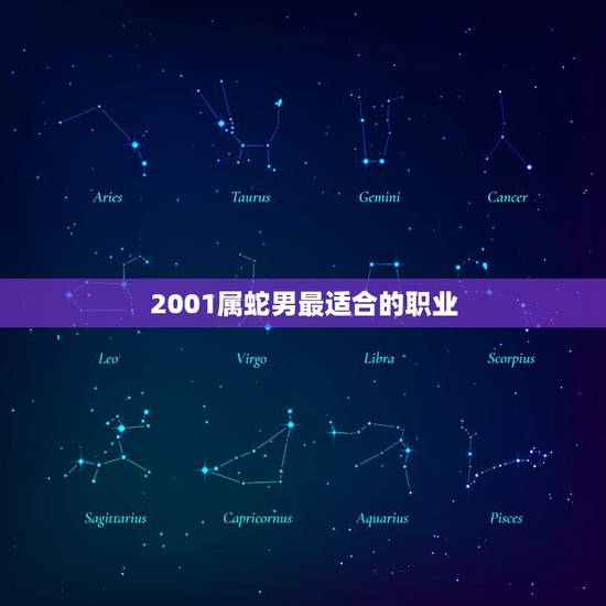 2001属蛇男最适合的职业，01年属蛇适合什么职业