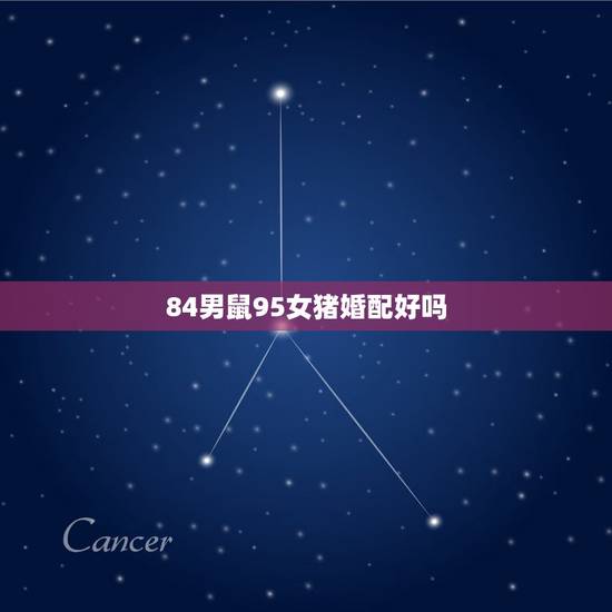 84男鼠95女猪婚配好吗，84男鼠和95女猪的婚配