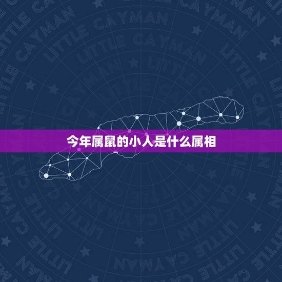 今年属鼠的小人是什么属相，84年属鼠的适合配什么生肖好