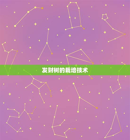 发财树的栽培技术，那里有完整的发财树栽培技术（栽植方面）