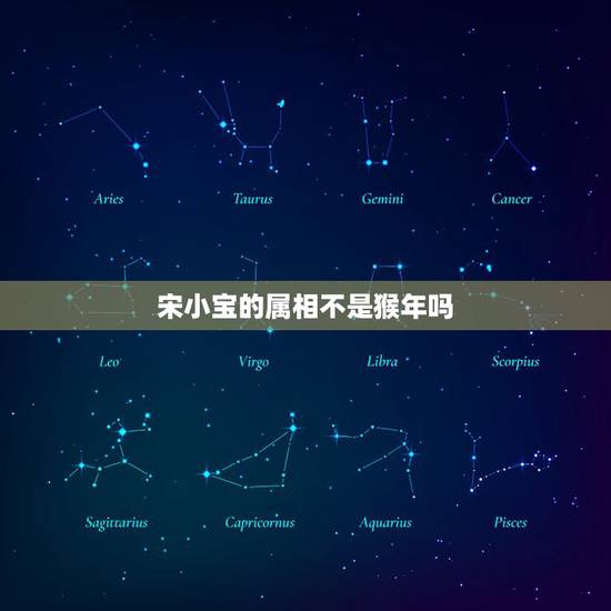 宋小宝的属相不是猴年吗，猴年哪两个属相相冲