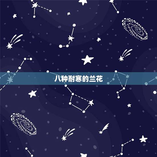 八种耐寒的兰花，什么品种的兰花耐暑寒？
