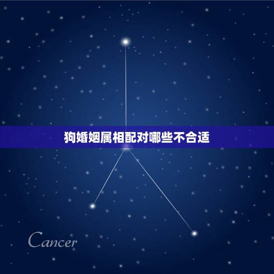 狗婚姻属相配对哪些不合适，十二生肖中，那些属相最不适宜结婚？