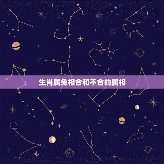 生肖属兔相合和不合的属相，属兔的与什么属相不和