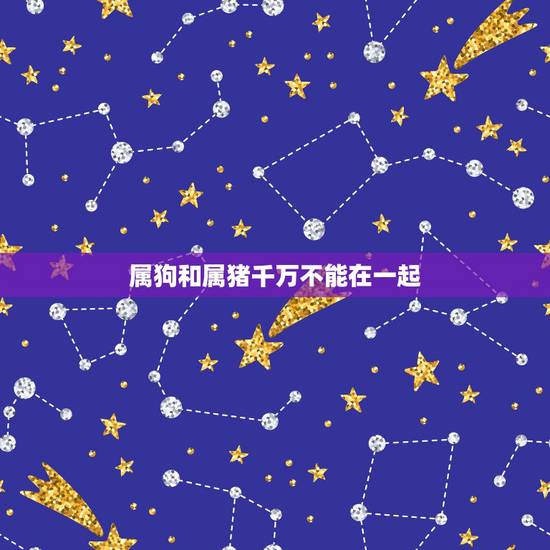 属狗和属猪千万不能在一起，属狗女和属猪男