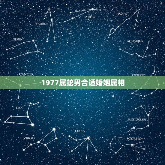 1977属蛇男合适婚姻属相，1977年属蛇的人和什么属相合作最好