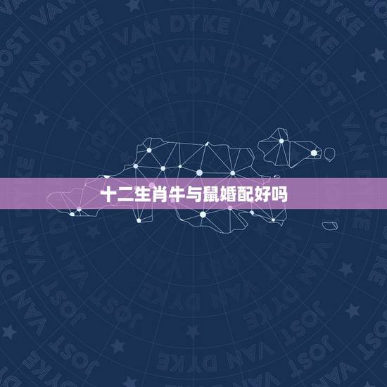 十二生肖牛与鼠婚配好吗，属相婚配：男属兔和女属牛相配吗