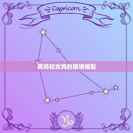 男鸡和女狗的婚姻相配