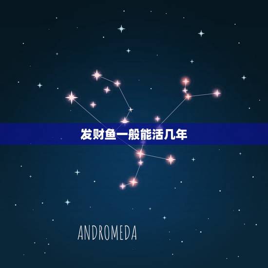 发财鱼一般能活几年，自养观赏发财鱼寿命有多长？养了10年死了正常吗？