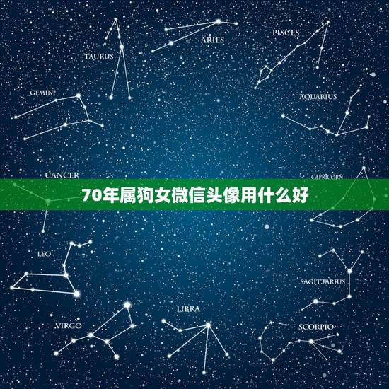 70年属狗女微信头像用什么好，70年属狗微信头像更好