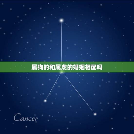 属狗的和属虎的婚姻相配吗,属狗和属虎的相配吗 属狗的和属虎的婚姻相配吗,属狗和属虎的相配吗