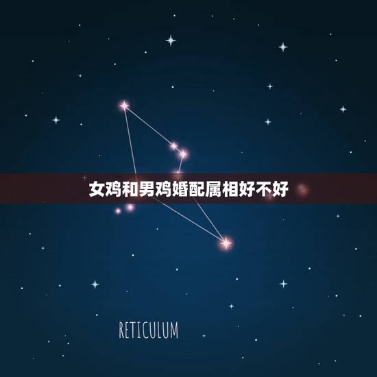 女鸡和男鸡婚配属相好不好,93年男属鸡和93年女属鸡能婚配吗? 女鸡和男鸡婚配属相好不好,93年男属鸡和93年女属鸡能婚配吗?