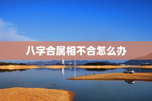 八字合属相不合怎么办，属相合命不合什么意思