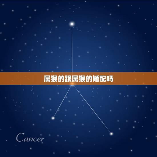 属猴的跟属猴的婚配吗，属猴和属猴的相配吗