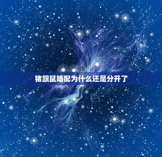 猪跟鼠婚配为什么还是分开了，属猪与属鼠相配吗？