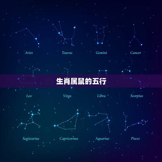 生肖属鼠的五行，一生旺属鼠的颜色