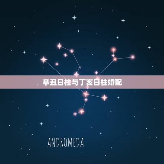 辛丑日柱与丁亥日柱婚配,请问丁亥日柱的女命是否一定婚姻幸福? 辛丑日柱与丁亥日柱婚配,请问丁亥日柱的女命是否一定婚姻幸福?
