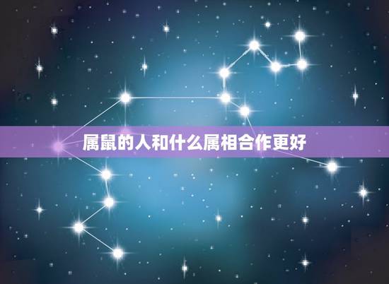 属鼠的人和什么属相合作更好,属鼠的和什么属相最配 属鼠的人和什么属相合作更好,属鼠的和什么属相最配