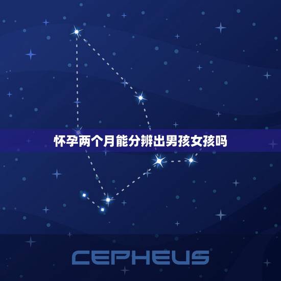 怀孕两个月能分辨出男孩女孩吗，怀孕辨别男女的方法有什么？