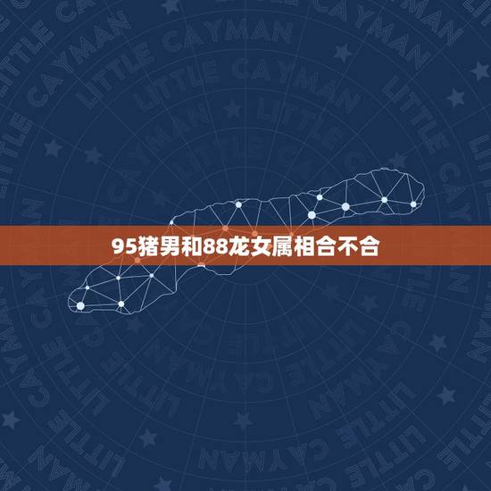 95猪男和88龙女属相合不合，88年属龙男和95年属猪女配吗？