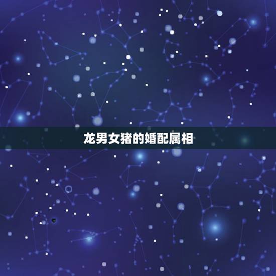 龙男女猪的婚配属相，属龙的与属猪的能婚配吗？