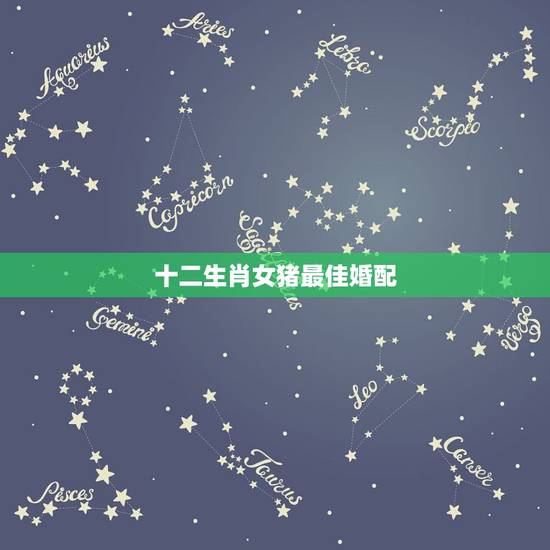 十二生肖女猪最佳婚配,属猪的与哪些属相婚配最好 十二生肖女猪最佳婚配,属猪的与哪些属相婚配最好
