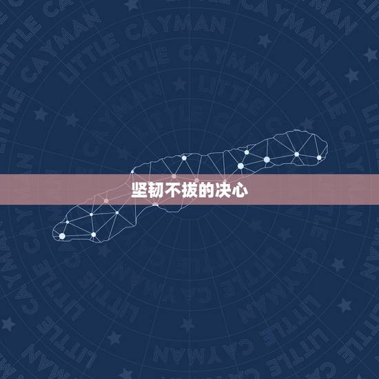 坚韧不拔的决心