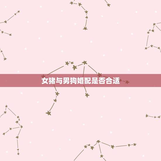 女猪与男狗婚配是否合适,男狗女猪相配吗 女猪与男狗婚配是否合适,男狗女猪相配吗