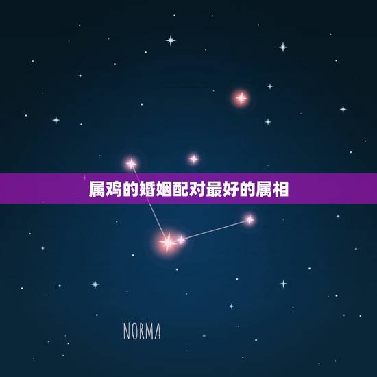 属鸡的婚姻配对最好的属相，1981年属鸡的人婚姻配什么属相好