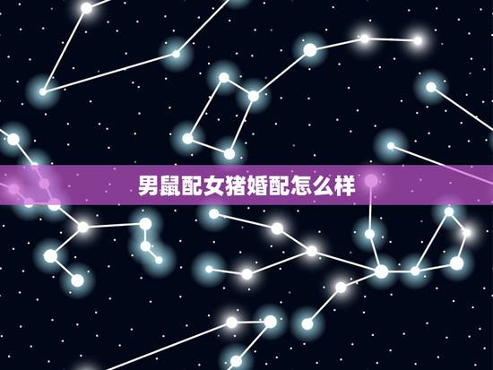 男鼠配女猪婚配怎么样，男鼠女猪婚姻配合吗